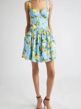 L'AGENCE Lemon Print Corset Minidress size 8
